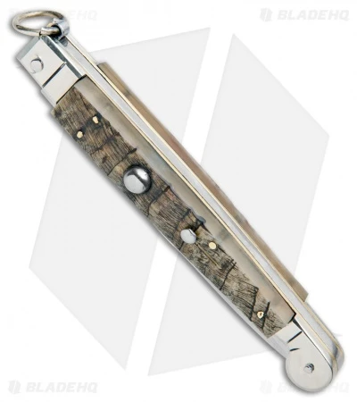 AGA Campolin 9" Sicilian Ring Pull Automatic Ram Horn (4.1" Satin Bayo) 4 AGA Campolin 9" Sicilian Ring Pull Automatic Ram Horn (4.1" Satin Bayo) - Image 2