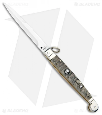 AGA Campolin 9" Sicilian Ring Pull Automatic Ram Horn (4.1" Satin Bayo) 3 AGA Campolin 9" Sicilian Ring Pull Automatic Ram Horn (4.1" Satin Bayo)