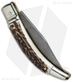 AGA Campolin Diana Lever Lock Automatic Knife Stag Horn (3.75" Damascus) 8 AGA Campolin Diana Lever Lock Automatic Knife Stag Horn (3.75" Damascus) -AGA Campolin AGA Campolin Diana LL Damascus Stag Horn BHQ 67441 jr side